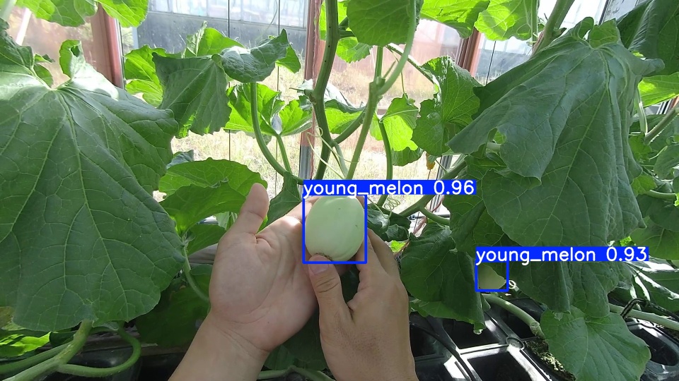 video04_000022 YOLO検出結果
