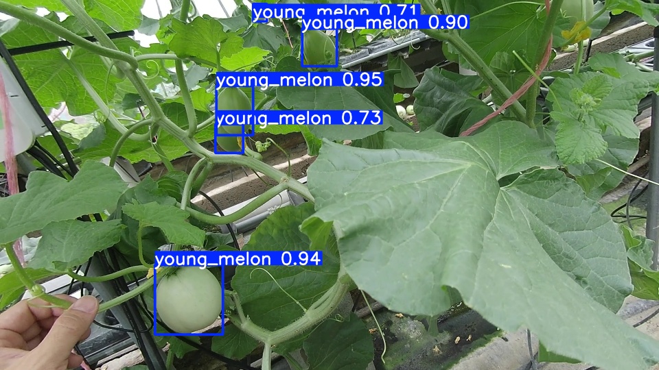 video07_000046 YOLO検出結果