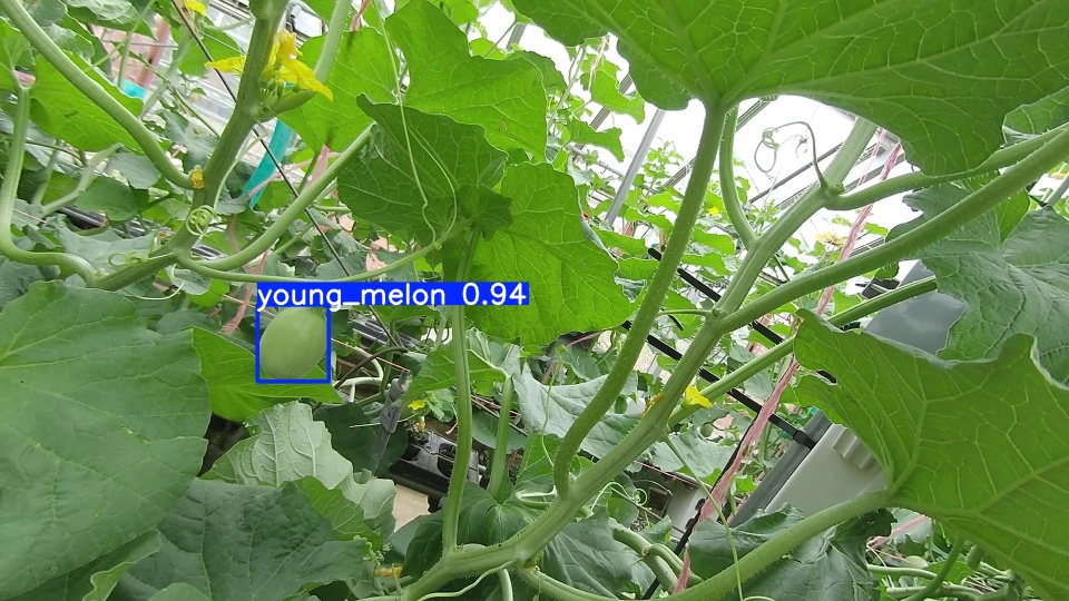 video09_000038 YOLO検出結果